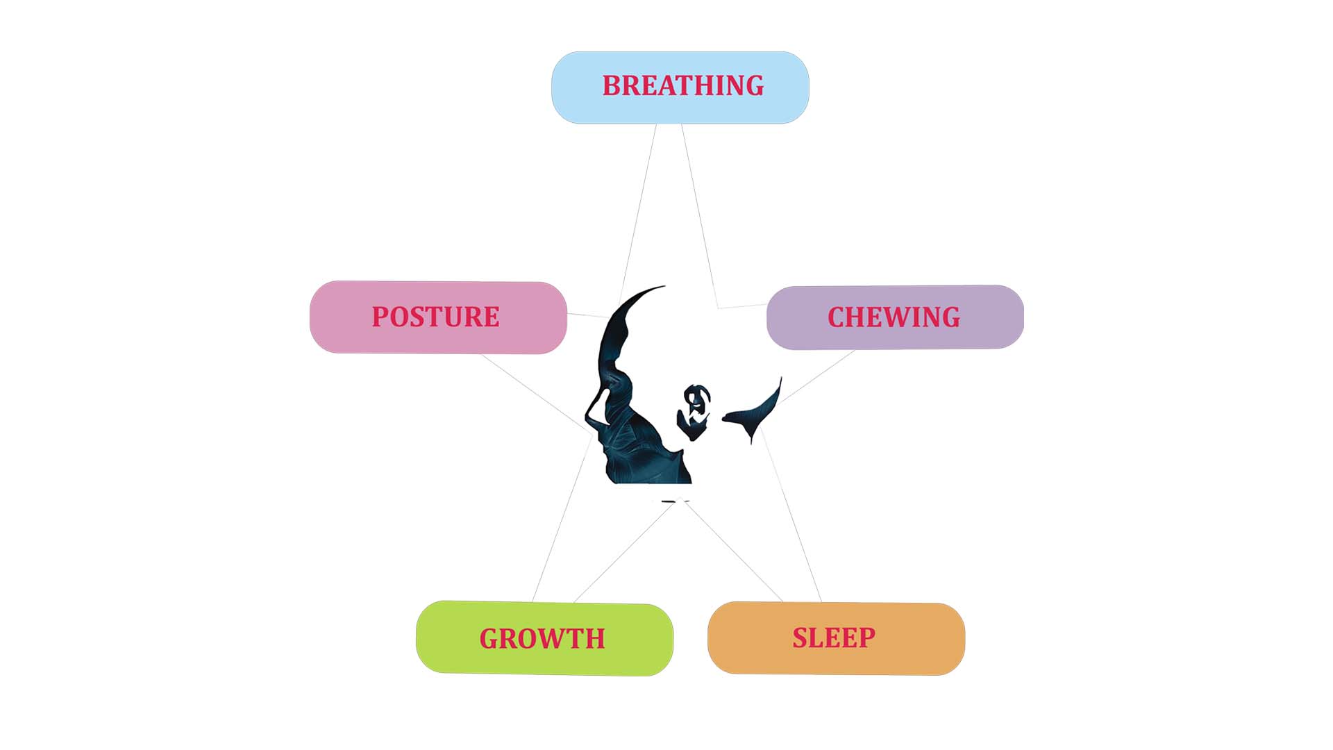 FOM - Foundation for Orofacial Myotherapy